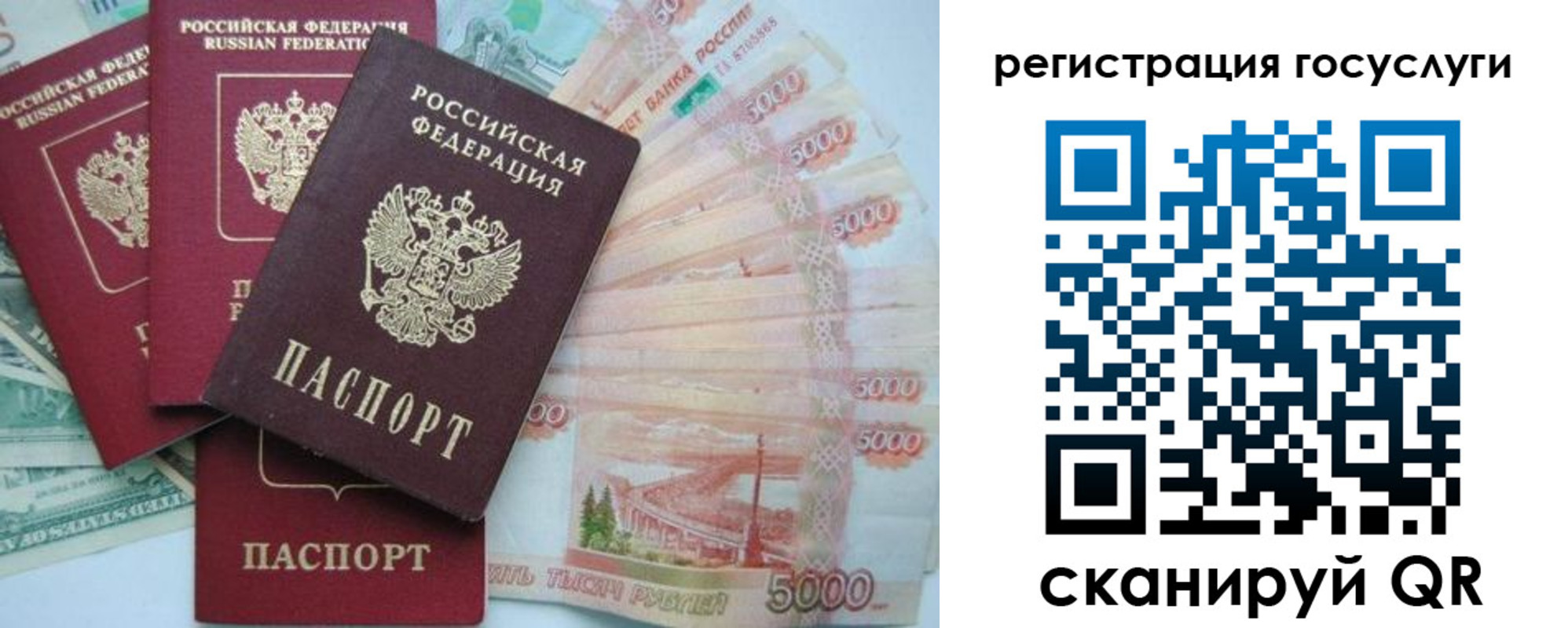 прописка иностранных граждан в Волгоградской области